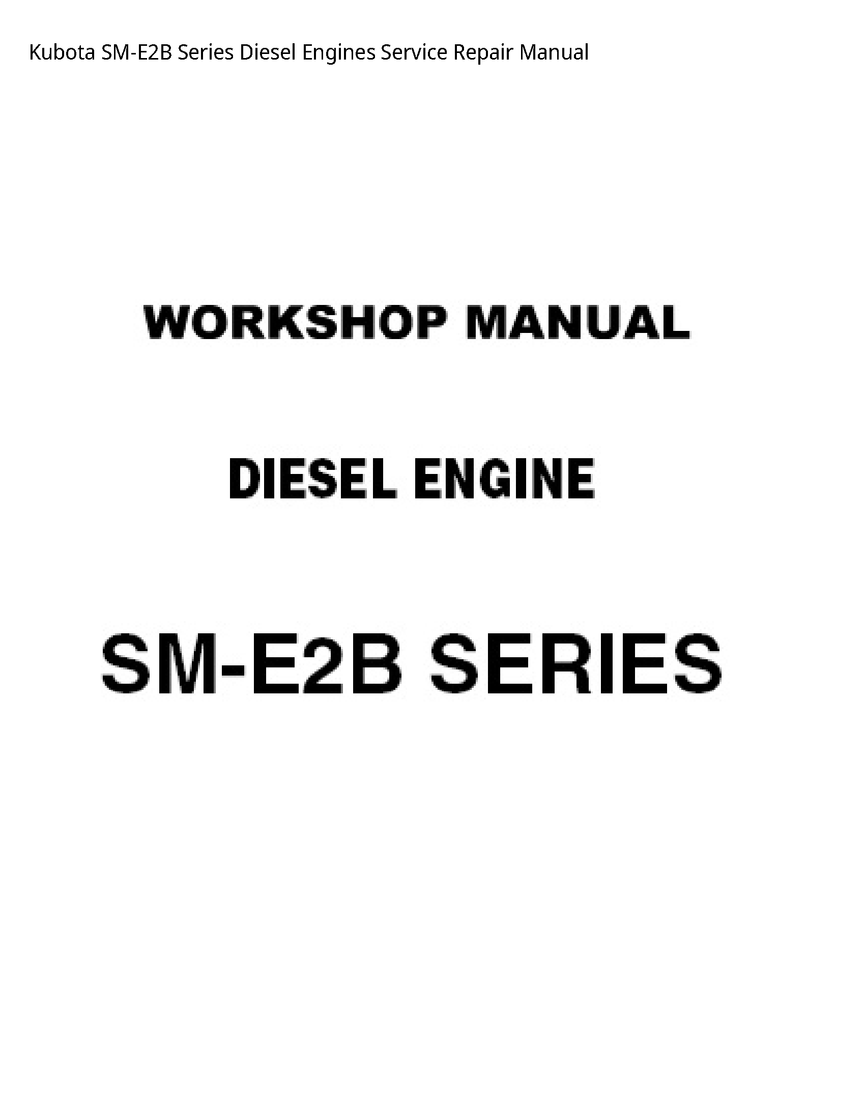 Kubota SM-E2B Series Diesel Engines Service Repair Manual