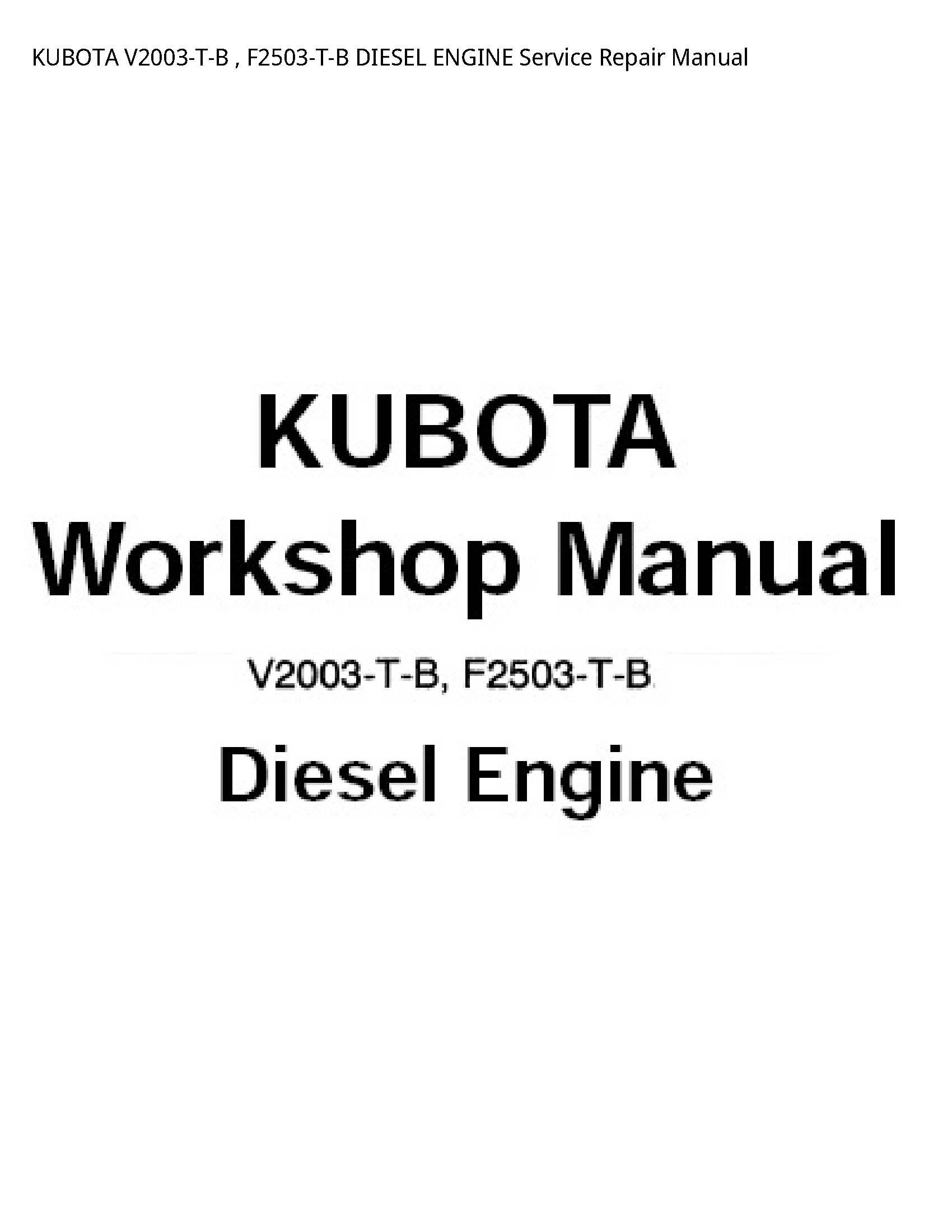 KUBOTA V2003-T-B   F2503-T-B DIESEL ENGINE Service Repair Manual