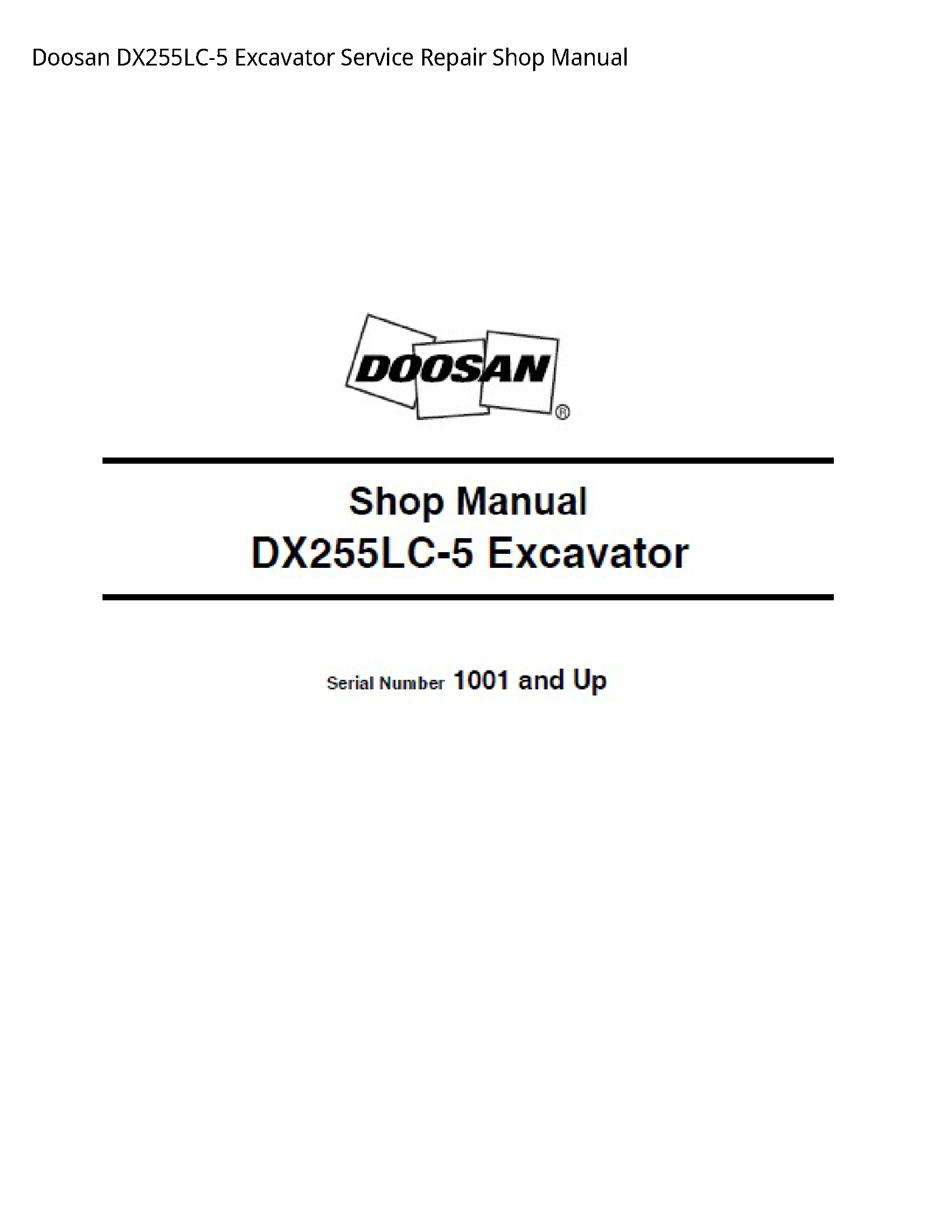 Doosan DX255LC-5 Excavator manual