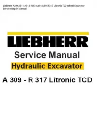 Liebherr A309 A311 A312 R313 A314 A316 R317 Litronic TCD Wheel Excavator Service Repair Manual preview