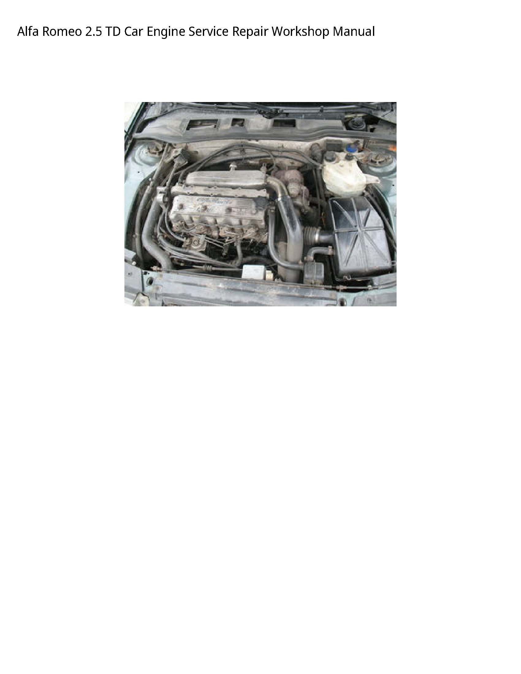 Alfa Romeo 2.5 TD Car Engine manual