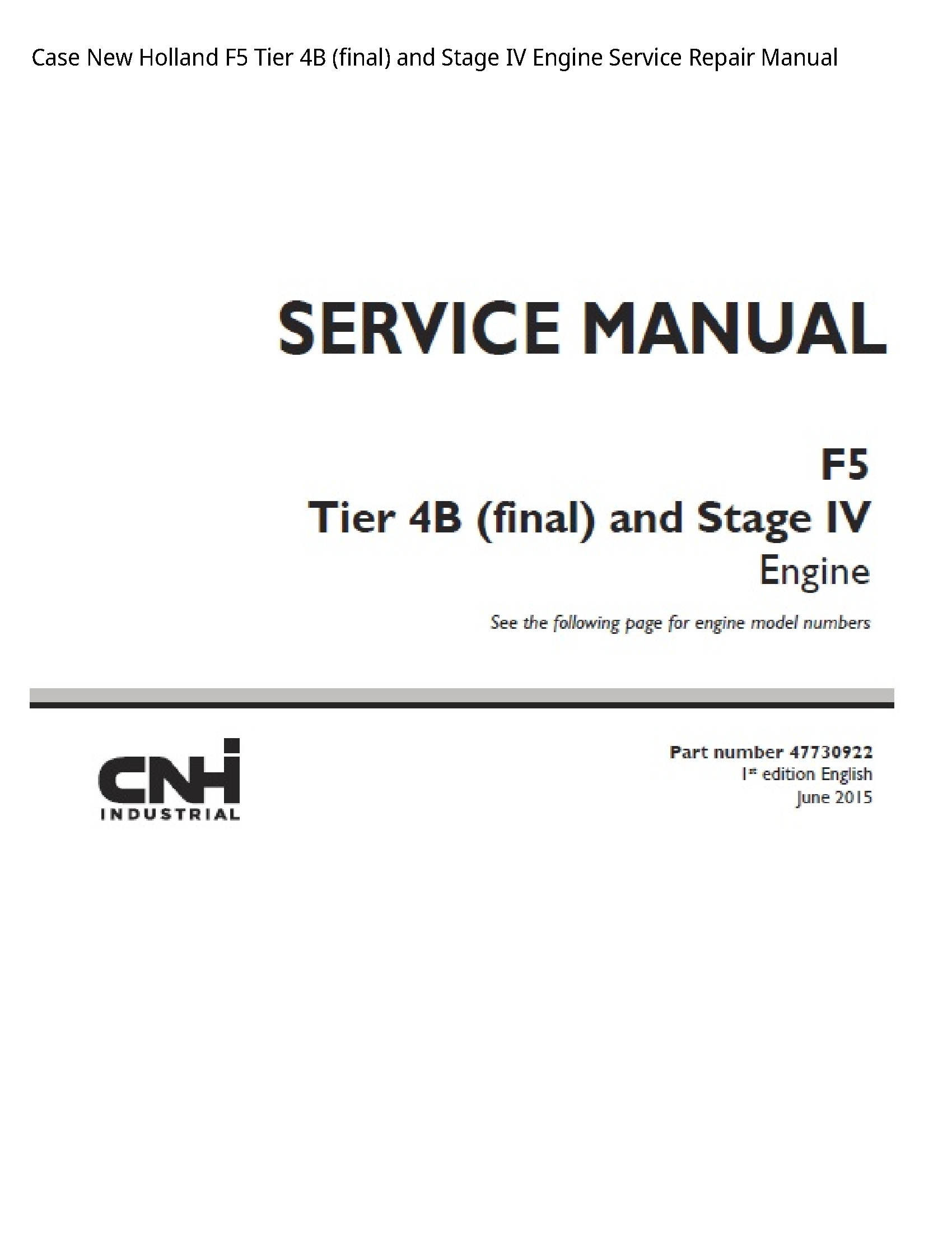 Case/Case IH F5 New Holland Tier (final)  Stage IV Engine manual