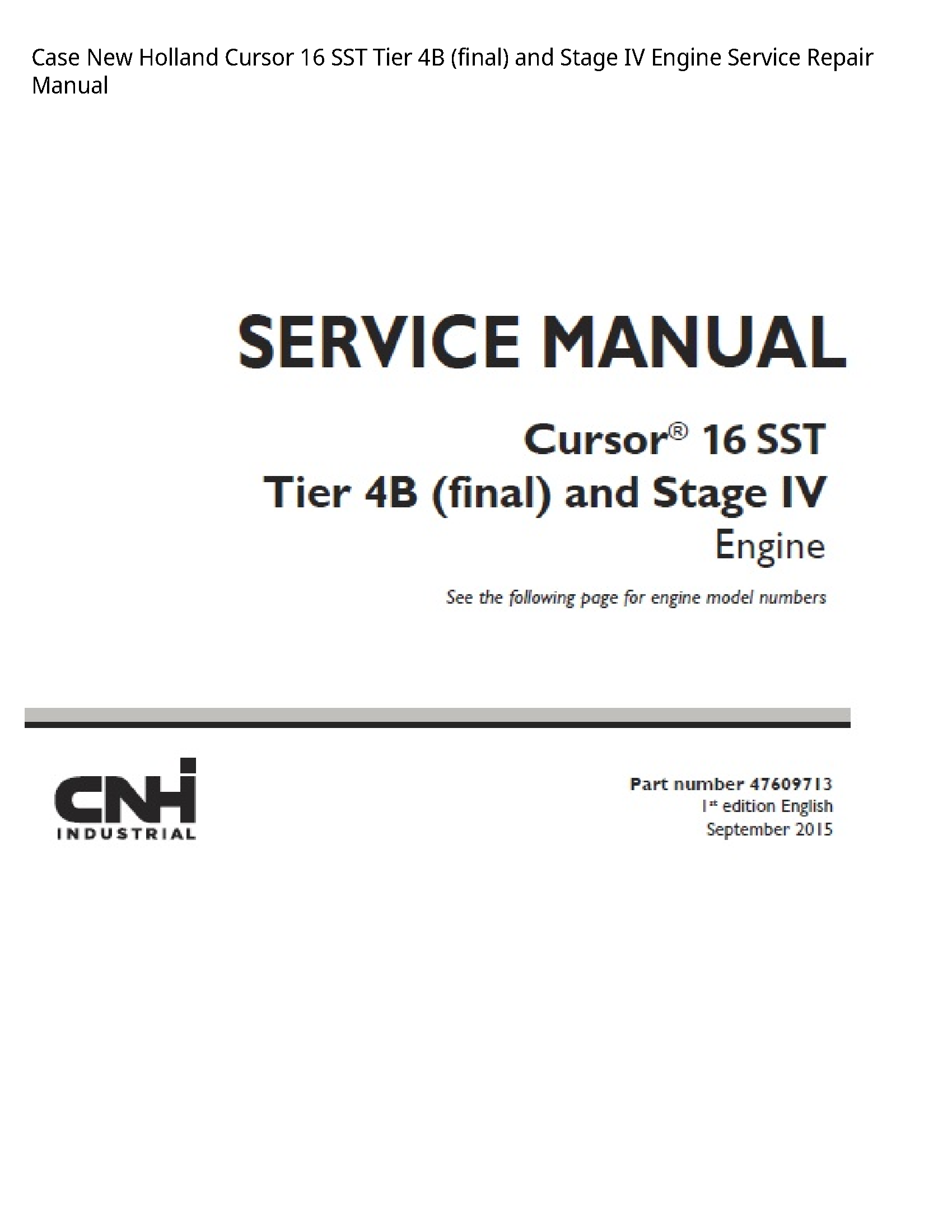 Case/Case IH 16 New Holland Cursor SST Tier (final)  Stage IV Engine manual