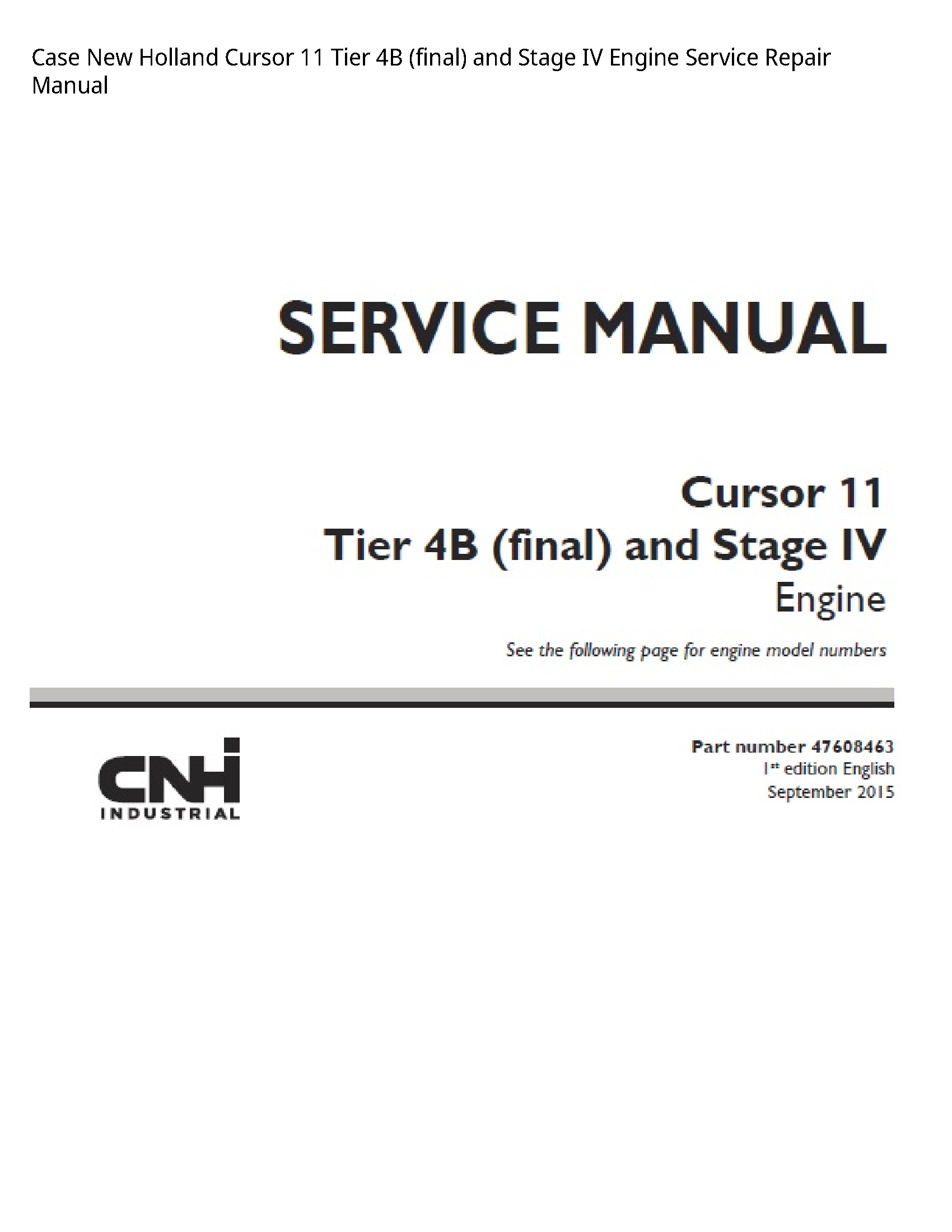 Case/Case IH 11 New Holland Cursor Tier (final)  Stage IV Engine manual