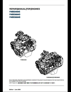 Case/Case IH F4BE0484E Engine manual