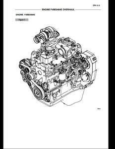 Case/Case IH F4BE0684D Engine manual