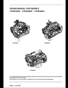 Case/Case IH F4GE0484E Engine manual