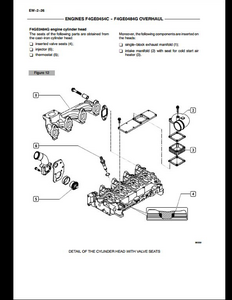 Case/Case IH F4GE0484G Engine manual pdf