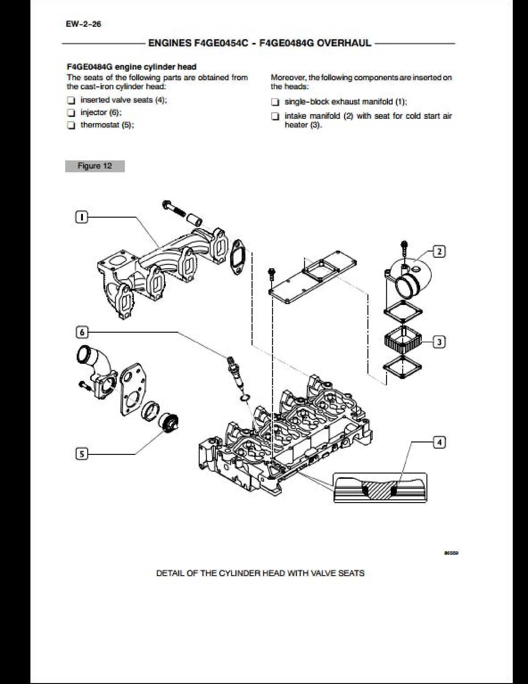 Case/Case IH F4GE0484G Engine manual
