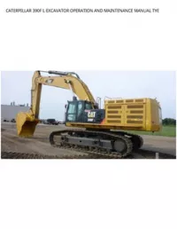 CATERPILLAR 390F L EXCAVATOR OPERATION AND MAINTENANCE MANUAL TYE preview