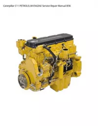 Caterpillar C11 PETROLEUM ENGINE Service Repair Manual B5K preview