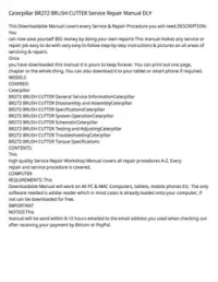 Caterpillar BR272 BRUSH CUTTER Service Repair Manual DLY preview