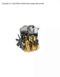 Caterpillar C7.1 INDUSTRIAL ENGINE Service Repair Manual G9R preview