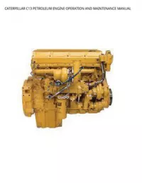 CATERPILLAR C13 PETROLEUM ENGINE OPERATION AND MAINTENANCE MANUAL preview
