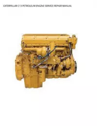 CATERPILLAR C13 PETROLEUM ENGINE SERVICE REPAIR MANUAL preview