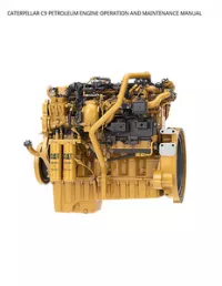 CATERPILLAR C9 PETROLEUM ENGINE OPERATION AND MAINTENANCE MANUAL preview