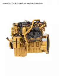 CATERPILLAR C9 PETROLEUM ENGINE SERVICE REPAIR MANUAL preview