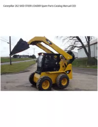 Caterpillar 262 SKID STEER LOADER Spare Parts Catalog Manual CED preview