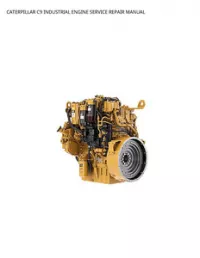 CATERPILLAR C9 INDUSTRIAL ENGINE SERVICE REPAIR MANUAL preview