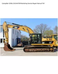 Caterpillar 329DL EXCAVATOR Workshop Service Repair Manual TAY preview