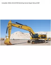 Caterpillar 390DL EXCAVATOR Workshop Service Repair Manual WBT preview