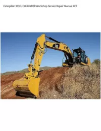 Caterpillar 323FL EXCAVATOR Workshop Service Repair Manual XCF preview