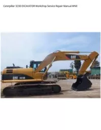 Caterpillar 323D EXCAVATOR Workshop Service Repair Manual WNE preview