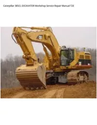 Caterpillar 385CL EXCAVATOR Workshop Service Repair Manual T2E preview