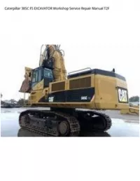 Caterpillar 385C FS EXCAVATOR Workshop Service Repair Manual T2F preview