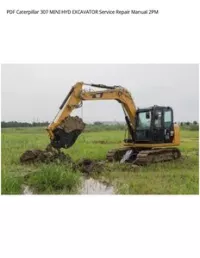 PDF Caterpillar 307 MINI HYD EXCAVATOR Service Repair Manual 2PM preview