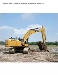 Caterpillar 336FL EXCAVATOR Workshop Service Repair Manual LCL preview