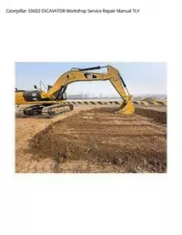 Caterpillar 336D2 EXCAVATOR Workshop Service Repair Manual TLY preview
