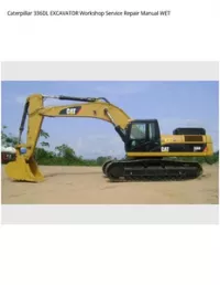 Caterpillar 336DL EXCAVATOR Workshop Service Repair Manual WET preview