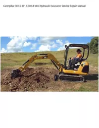 Caterpillar 301.5 301.6 301.8 Mini Hydraulic Excavator Service Repair Manual preview