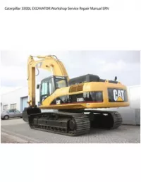 Caterpillar 330DL EXCAVATOR Workshop Service Repair Manual ERN preview