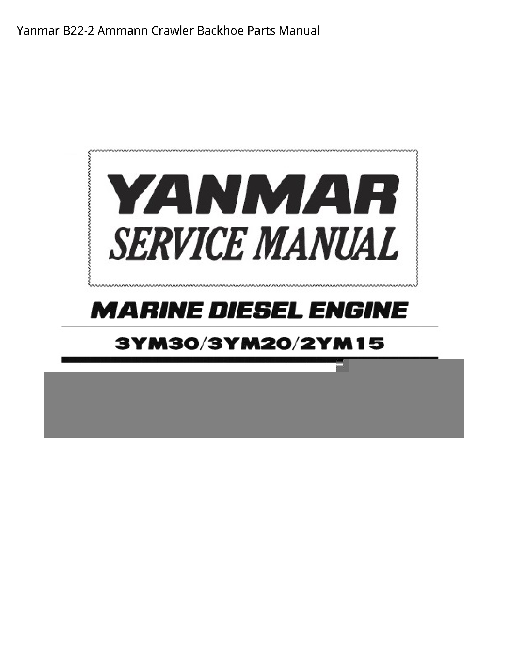 Yanmar B22-2 Ammann Crawler Backhoe Parts manual
