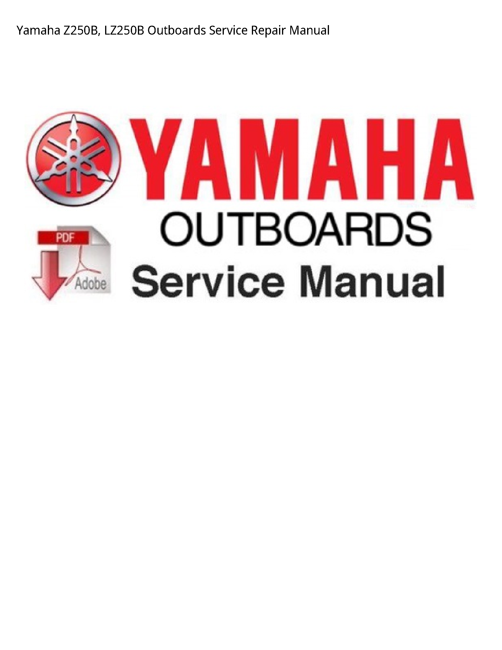Yamaha Z250B Outboards manual