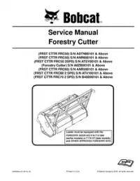 Bobcat Forestry Cutter (FRC50   FRC50 2SPD   FRC60   FRC60 2 SPD   FRC70 2 SPD) Service Repair Manual preview