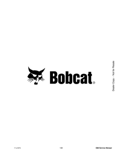 Bobcat E80 Compact Excavator manual