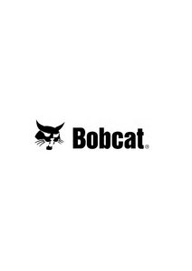 Bobcat E55W Excavator manual pdf