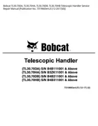 Bobcat TL30.70DA  TL30.70HA  TL30.70DB  TL30.70HB Telescopic Handler Service Repair Manual [Publication No. 7319660enUS - 12-20170] preview