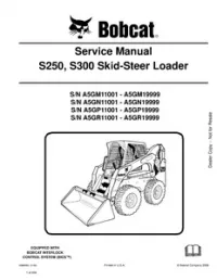Bobcat S250  S300 Skid  Steer Loader Service Repair Manual (S/N A5GM11001  A5GM19999  A5GN11001  A5GN19999  A5GP11001  A5GP19999  A5GR11001  - A5GR19999 preview
