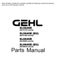 GEHL SL5640E  SL5640E (EU)  SL6640E  SL6640E (EU) Skid-Steer Loader Parts Manual (Form No. 917341 Revision C - 06/10 preview