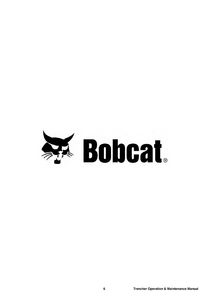 Bobcat 3 manual