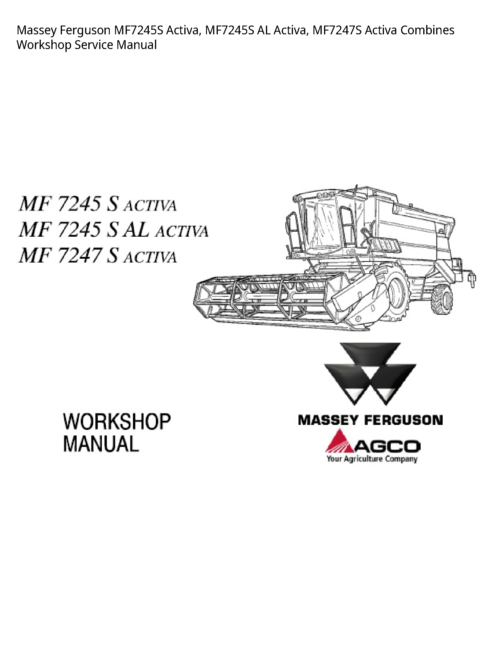 Massey Ferguson MF7245S Activa manual