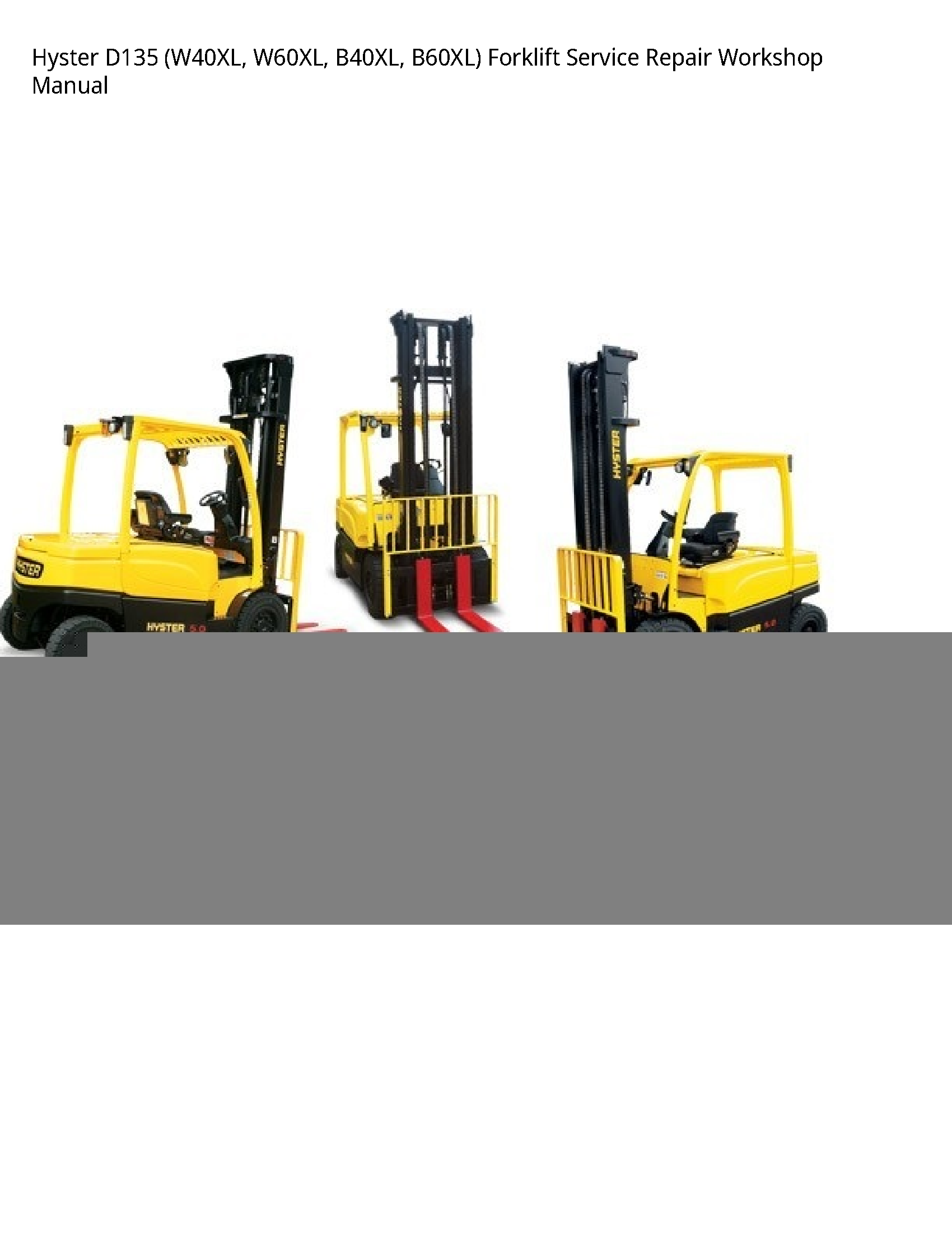 Hyster D135 Forklift manual