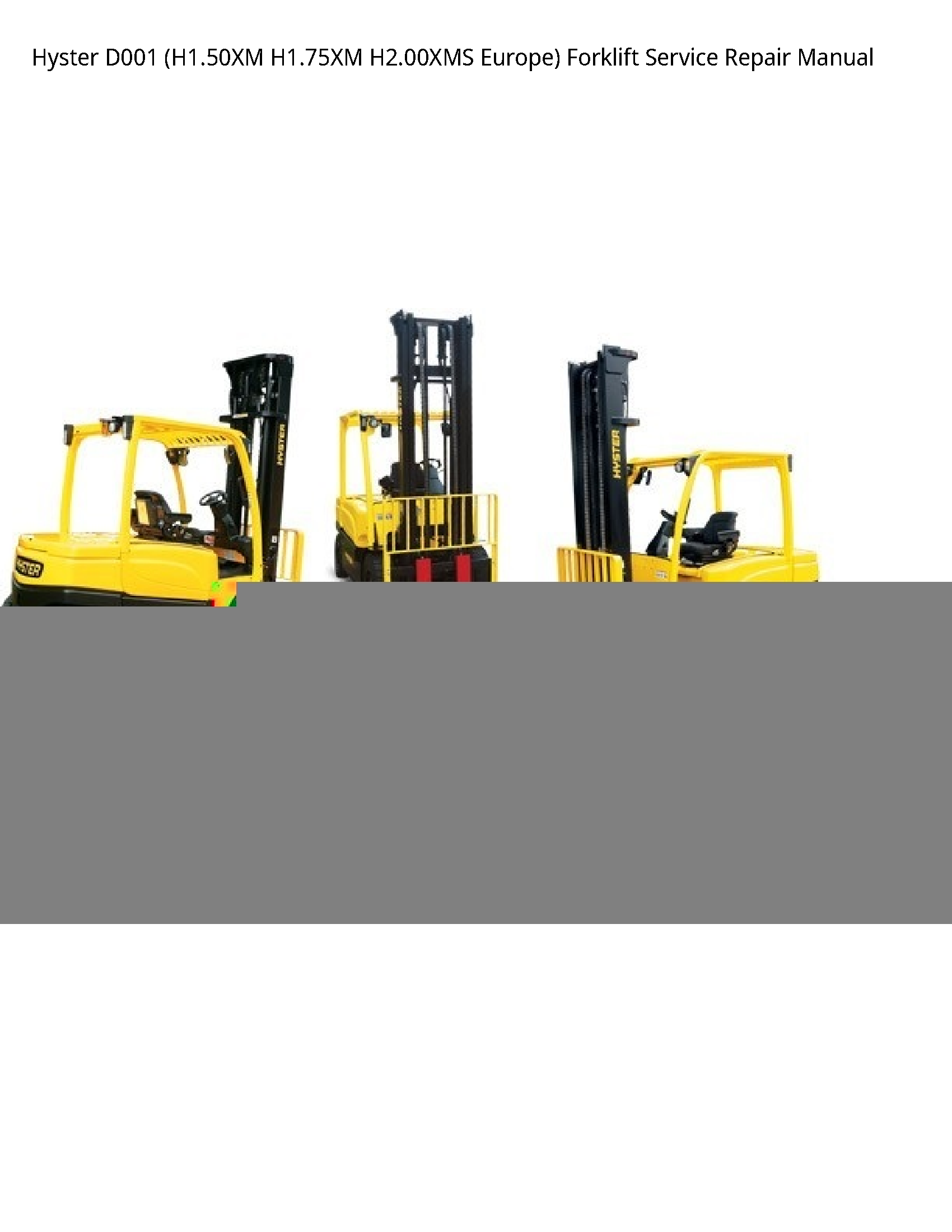 Hyster D001 Europe) Forklift manual