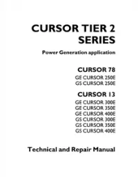 IVECO CURSOR ENGINE TIER 2 SERIES TECHNICAL AND REPAIR MANUAL preview