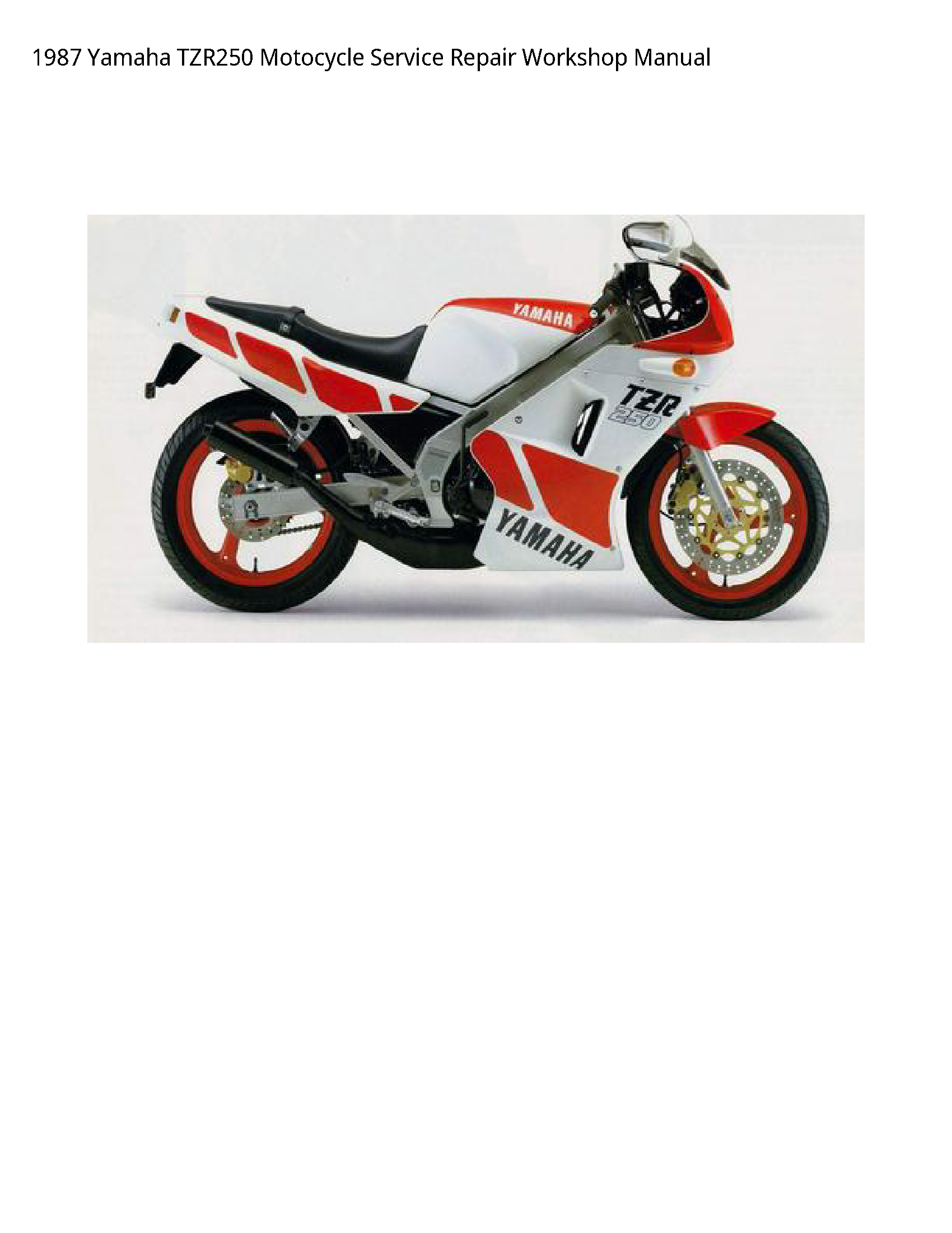 Yamaha TZR250 Motocycle manual
