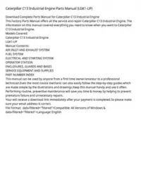 Caterpillar C13 Industrial Engine Parts Manual (LGK1-UP) preview